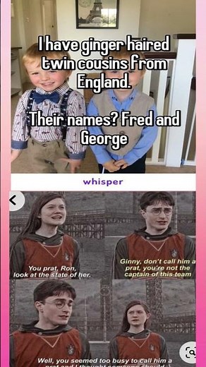 Real-Life Weasley Twins & Classic Ginny Sass | Harry Potter Moments #potterfan