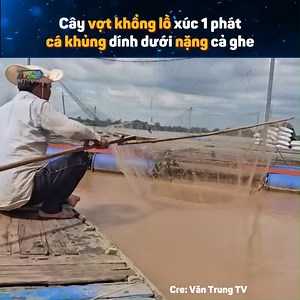 655K views · 4.8K reactions | Cây vợt đã thiệt chứ Nguồn: Văn Trung TV Bản quyền được bảo vệ và quản lý bởi MCV Network #MCVNetwork #MCVGroup #MCVMedia #vantrungtv #MCNYoutube #NWT #VTTV | P336 Band | Facebook