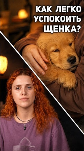 THIS is HOW to easily CALM DOWN YOUR PUPPY