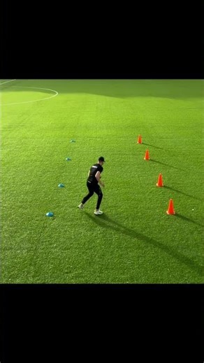 Agility and acceleration exercise