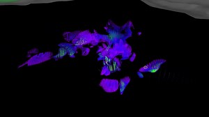 Do you want to generate accurate geological models within the...