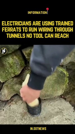 8.4K views · 33 reactions | Electricians once relied on an...