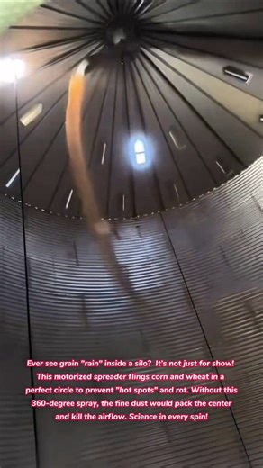 The Rain Maker! 🌾🌀 Why Silos Spray Grain #harvest #corn #wheat #food #storage #how #asmr #satisfying