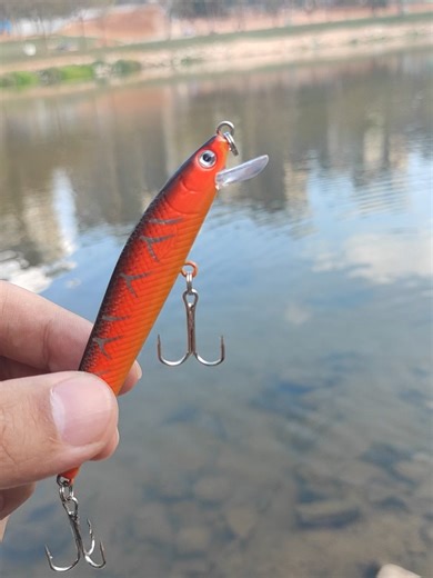 Effective Minnow Lure for Pressure Fishing