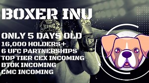 The Professional UFC and Boxing Fighters Token Is Now On Coingecko!