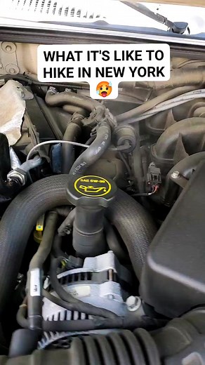 5.5K views · 108 reactions | BEHIND THE SCENES FOOTAGE OF THE INNER WORKINGS OF MY BODY AS I HIKE THE APPALACHIAN TRAIL THRU NEW YORK  #appalachiantrail #hikingadventures #hiking #hiker #thruhike #goodvibesonly #beattheheat #hot #reelsfb #fbreels #reels #overheating #summer #heatwave #laugh #joke #smile #love | Trail Marshall Hiking | Facebook