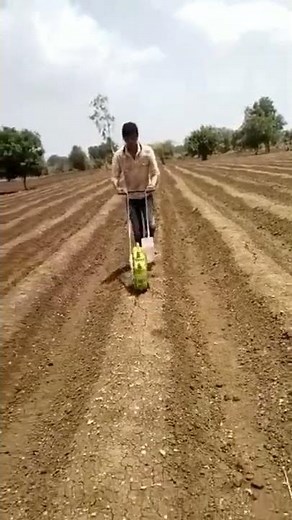 method of Ground nut sowing 🌱🌄##