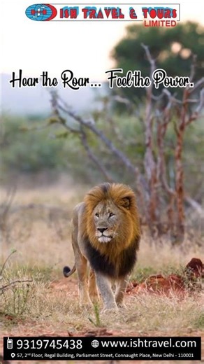 Kenya Safari with Land Cruiser | 5 Days Masai Mara & Lake Nakuru Tour 🦁 #KenyaSafari #MasaiMara