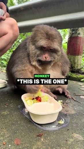 When Food Means More Than Friendship 😭