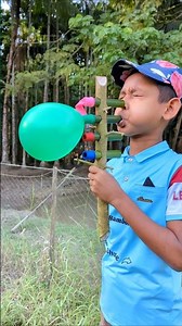 Creative Bamboo Tube Setup Inside a Tree Trunk | Innovative DIY Build for Global Viewers