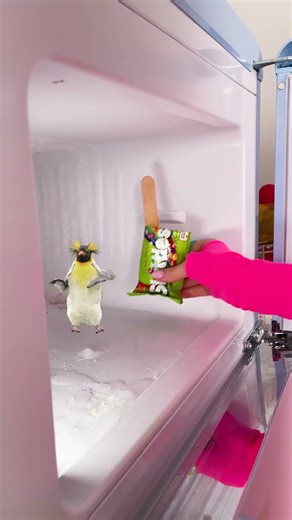 Ice Cream Magic: Create Your Own Flavor Adventure! #shorts