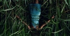 En la hierba alta (2019)  - Ver Película Completa en Español - FULLTV