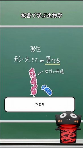 性染色体X染色体とY染色体とは？#shorts