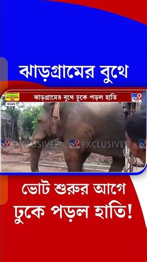ঝাড়গ্রামের বুথে ভোট শুরুর আগে ঢুকে পড়ল হাতি! | #Shorts