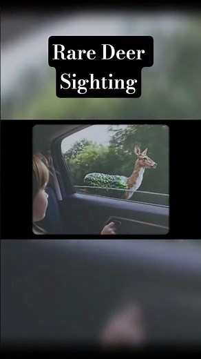 Ultra Rare Dill Doe Sighting