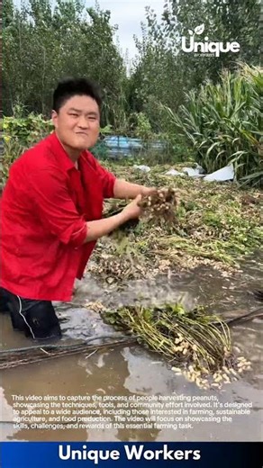 Farming for beginners: a simple guide to peanut farming