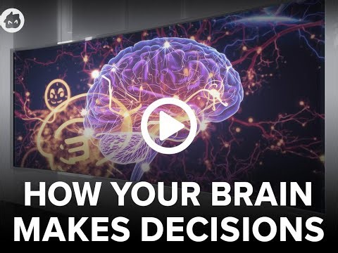 How Your Brain Makes Decisions