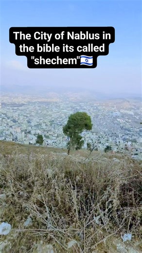 here are some short facts about Shechem: Shechem is an ancient city mentioned frequently in the Bible and other ancient texts. It is prominently featured in the Old Testament as a city associated with the patriarchs Abraham and Jacob. Located in the central highlands of Israel, it was strategically important due to its position along trade routes. Excavations have revealed evidence of its occupation from the Bronze Age through the Roman period. Shechem was a center for religious ceremonies and i
