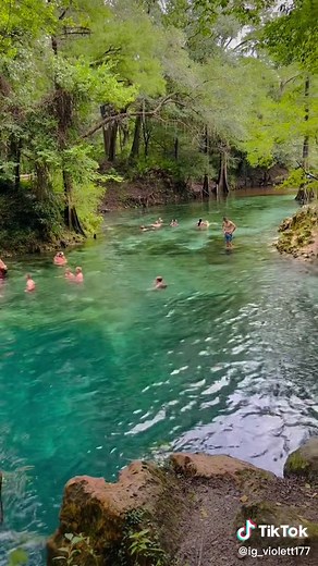 Madison Blue Spring State Park - A Natural Paradise for Swimming and Exploration