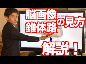 【分かりやすい！】脳画像・錐体路をこれで理解！