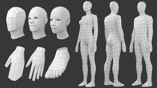 Maya人物建模教程合集 | 全网最细教你各部位人体结构布线，零基础人物角色建模必备教程，教你从0开始学会人物布线技巧