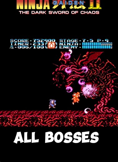 Ninja Gaiden II: The Dark Sword of Chaos(NES) - All Bosses #retrogaming #ninjagaiden #nintendo