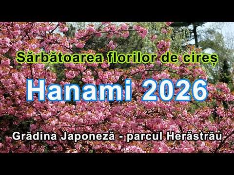 hanami 2026 bucuresti herastrau