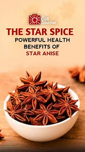 Star anise strengthens immunity, supports digestion, eases cold symptoms, and offers calming, antioxidant benefits. Its antibacterial and hormone-balancing properties make it a powerful daily wellness spice. Concept and Edit by @poojashahxyz #StarAnise #SuperSpice #NaturalHealing #ImmunityBoost #DigestiveHealth | The CSR Journal