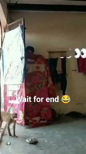 . "Try Not To Laugh… Face Builder Edition 😂🔥" #ytshorts #funny #viral #reels