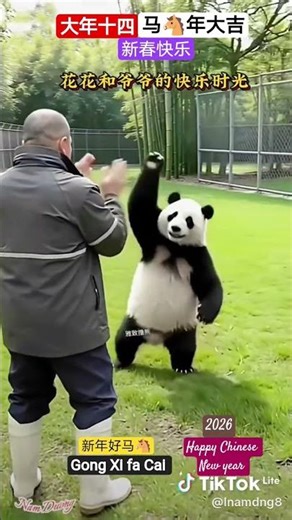 Happy new year 2026 Gong Xi fa Cai 新年好马🐴 、万事如意 、身体健康 、🧧🧧🧧