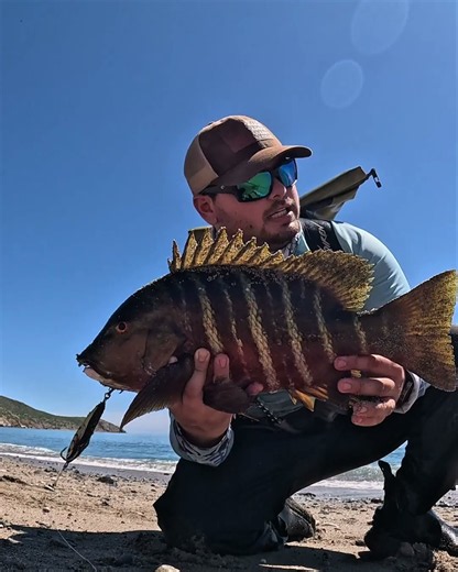 CAPTURÉ ESTE PARGO Y GRABÉ SU LIBERACIÓN BAJO EL AGUA! 🐟🔥 #dueñasfishing