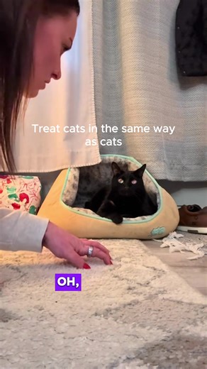 When You Copy Your Cat’s Moves... Oops!#cats #cat #fyp #funny #catsoftiktok