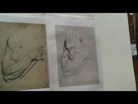 Bargue Plates: Turning Form Demo from Sadie Valeri's Online Atelier