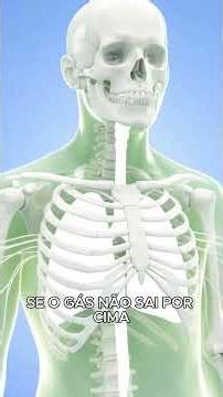 O que acontece se você segurar um arroto? 💨