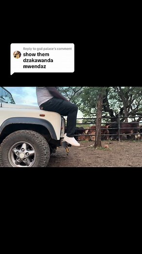 mwendaz_zw on TikTok