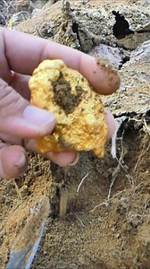 Amazing Digging gold nuggets at mountain #gold #findinggold #goldnuggts #Digginggold #reelviral #treasure | Leang Outdoor