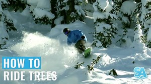 159K views · 220 shares | Seize The Trees! https://snowboardaddiction.com/blogs/news/how-to-ride-trees | Snowboard Addiction | Facebook