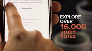 CSB Bibles by Holman