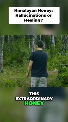 Mad Honey Himalayan Hallucinations & Toxic Buzz