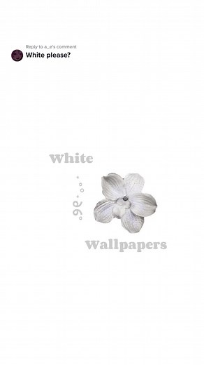 White Wallpaper Ideas for Cute and Aesthetic Backgrounds