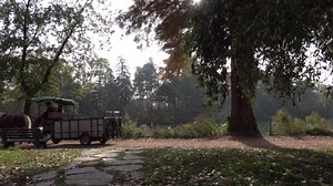 Test Sony FDR-AX700 en 4K