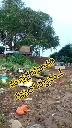 ముగ్గళ్ల గోదావరి రేవులో స్నానం..!