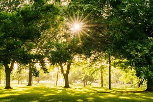 Youth Resources by Eco Church - The Hub Diocese of Leicester