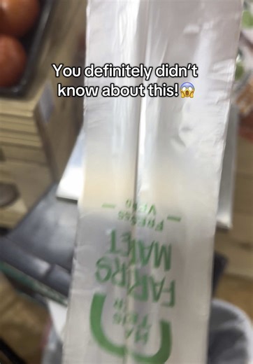 DIY Fly Repellent Life Hacks from Grandma