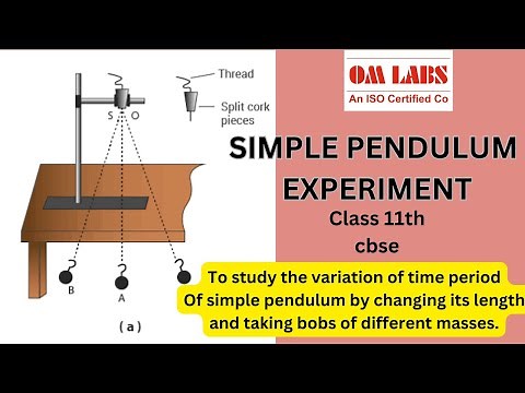 simple pendulum experiment class 11th | Bobs with different masses, same size | omlabs #cbse #yt