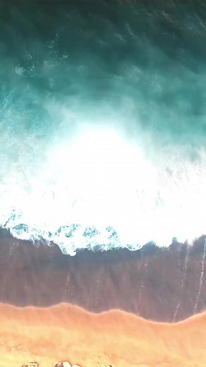 Less than 3 weeks until we set sail on the NKOTB Cruise and we can’t wait! To help get cruise ready, 2 Joe Girls are back with Episode 9 of “Step by Step: Blockhead’s Guide to the NKOTB Cruise”! Have a great weekend, Blockheads 🤖❤️ | New Kids On The Block