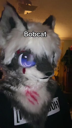 Bobcat #fursuit #furry #meme #furrytiktok #fyp | fursuit