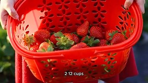 Raspberry Pie Pecipe