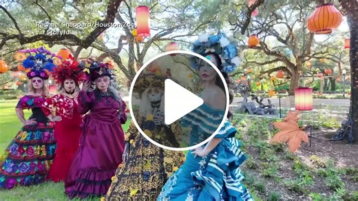 Houston Zoo celebrates Dia de los Muertos and debuts rare baby okapi - NewsBreak