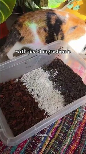 Why Basic Soil Fails 🌱 Make A Better Houseplant Mix. #shorts